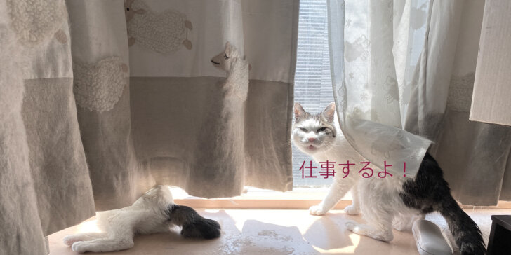 猫が仕事するっていっています